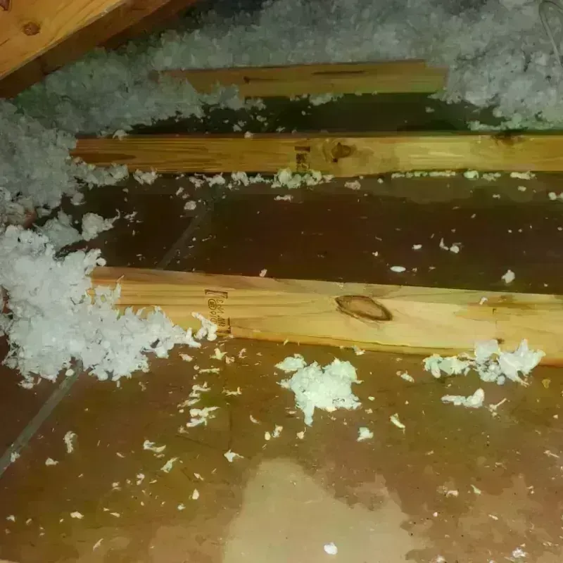 Attic Water Damage in Romulus, MI