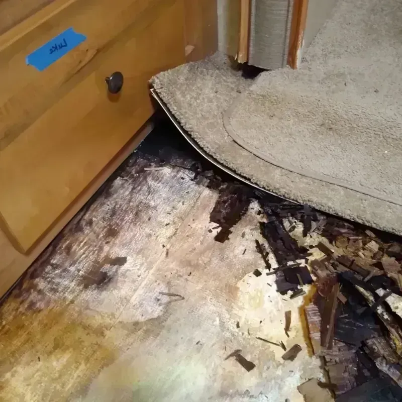 Wood Floor Water Damage in Romulus, MI